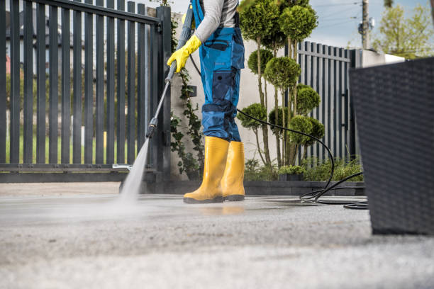 Best Roof Power Washing Services  in Citrus Springs, FL