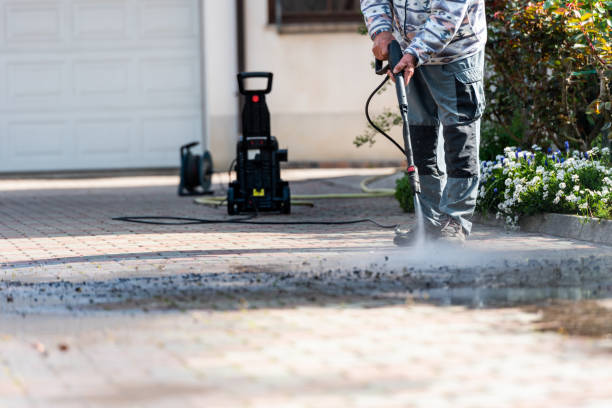 Best Residential Pressure Washing Services  in Citrus Springs, FL