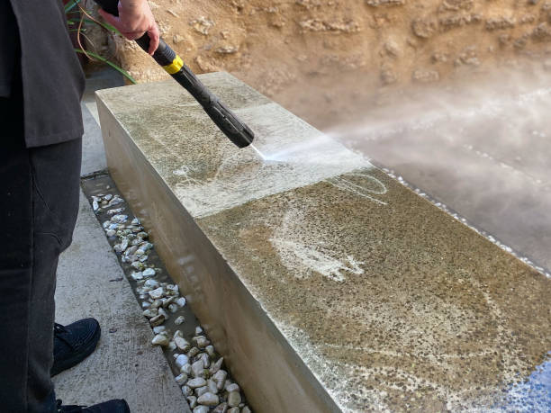 Best Pressure Washing Near Me  in Citrus Springs, FL
