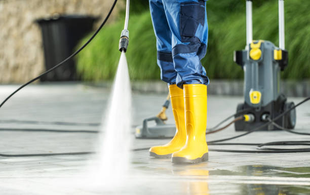 Best Deck Cleaning Services  in Citrus Springs, FL
